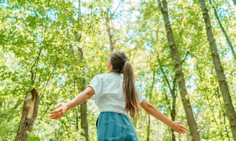 europa grill|Nature Restoration Law enters into force .